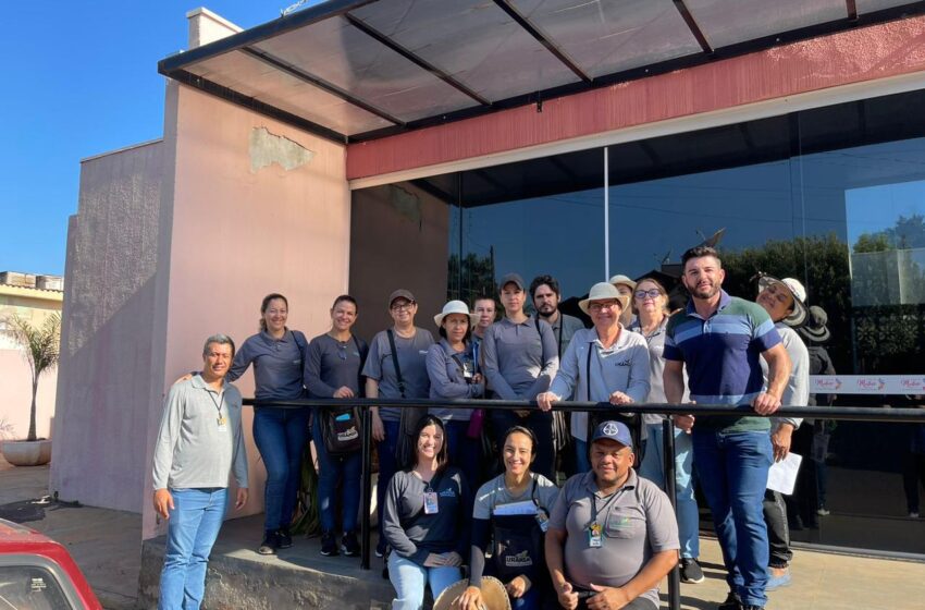  Equipe de Vigilância Epidemiológica continua mutirão na cidade